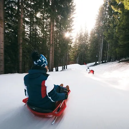 2 Pieces Confortables, Skis Aux Pieds, 4 Personnes - Fr-1-182a-12 公寓