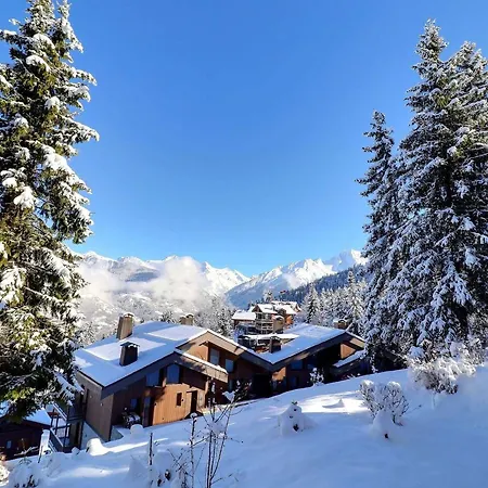 Apartman 2 Pieces Confortables, Skis Aux Pieds, 4 Personnes - Fr-1-182a-12 *