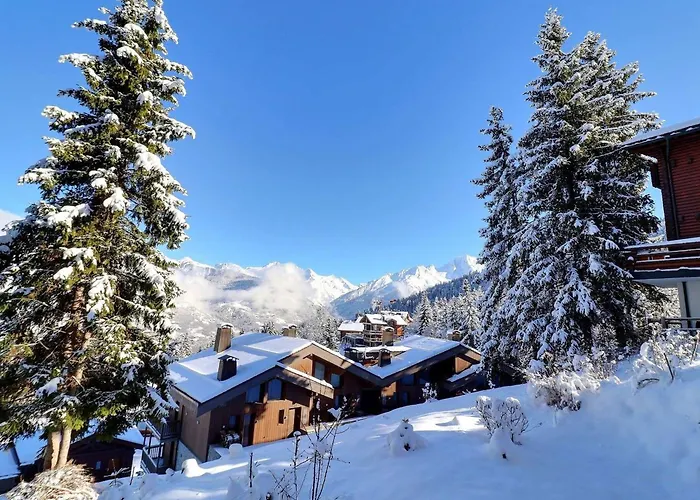 Apartman 2 Pieces Confortables, Skis Aux Pieds, 4 Personnes - Fr-1-182a-12 *